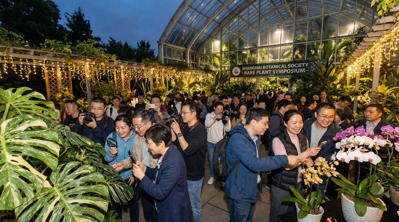 捷克街头植物社区活动